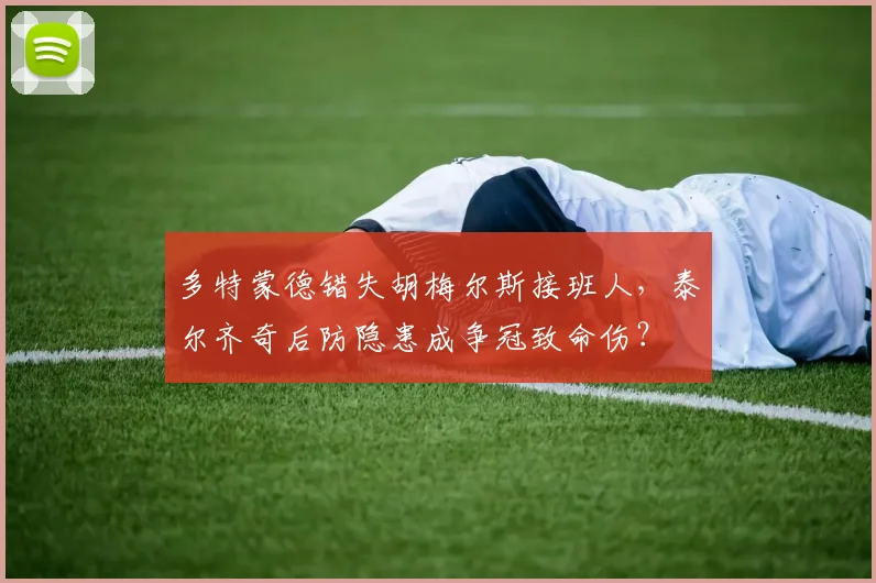 多特蒙德错失胡梅尔斯接班人，泰尔齐奇后防隐患成争冠致命伤？